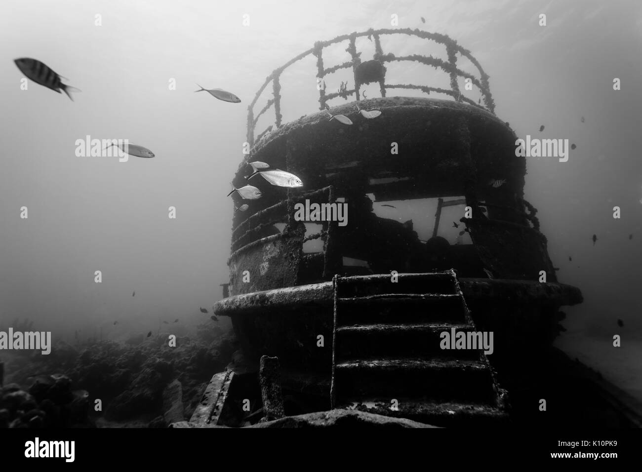 Reste de l'épave sous-marine noir et blanc Banque D'Images