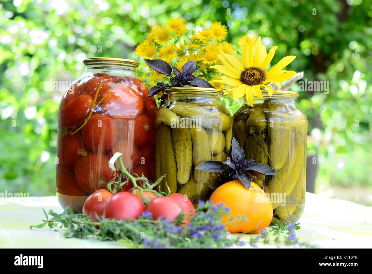 Аutumn préserve Banque D'Images