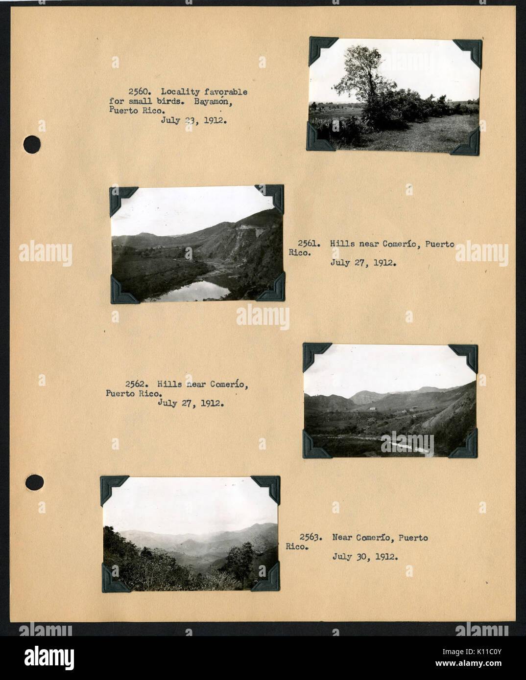 Album 1 Wyoming, 1910 ; Alaska, 1911 ; Puerto Rico et les Îles Vierges, 1911, 1912 ; comprend des photographies de Wetmore, Merritt Cary, Daniel Denison Streeter, et Pierrette Limacher (page 86) BHL48499787 Banque D'Images