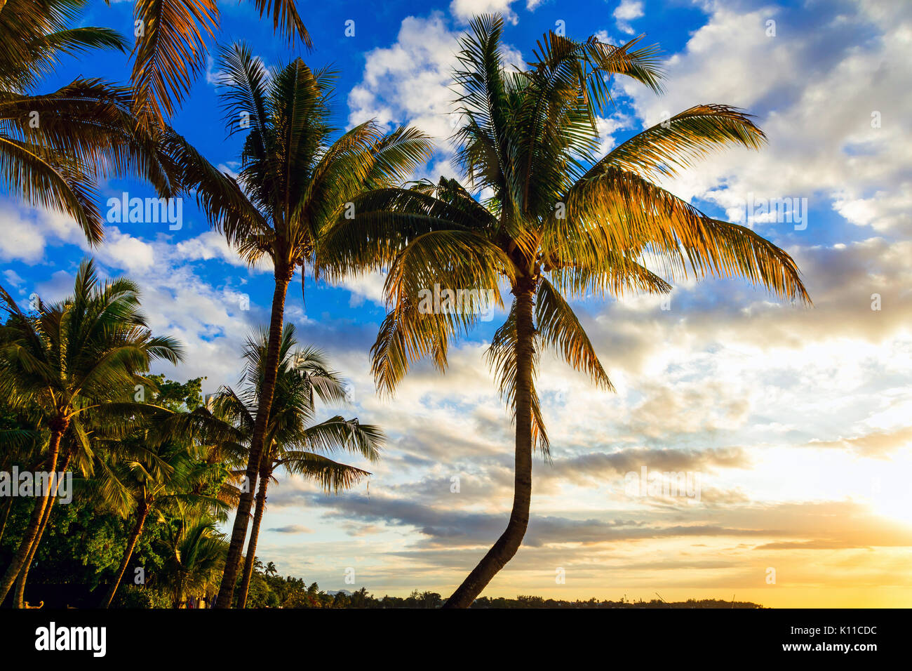 Vacances tropicales avec vue sur palmier coucher du soleil.L'île Maurice. Banque D'Images