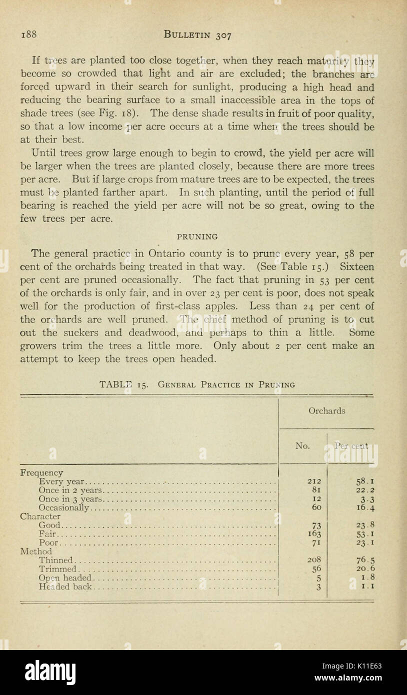 Rapport annuel du New York State College of Agriculture de l'Université Cornell et le poste de l'Expérience Agricole (page 188) BHL4889229 Banque D'Images