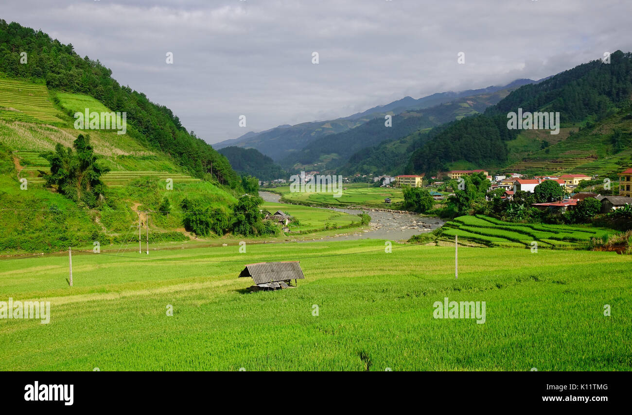 Paysage de rizières en terrasses de Sapa, Vietnam du Nord. La ville de ...