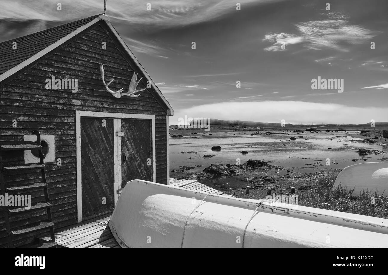 Les bois d'orignal sur le bois cabin en bord de l'eau à l'extrémité de la communauté de la péninsule Great Northern, à Terre-Neuve, Canada Banque D'Images