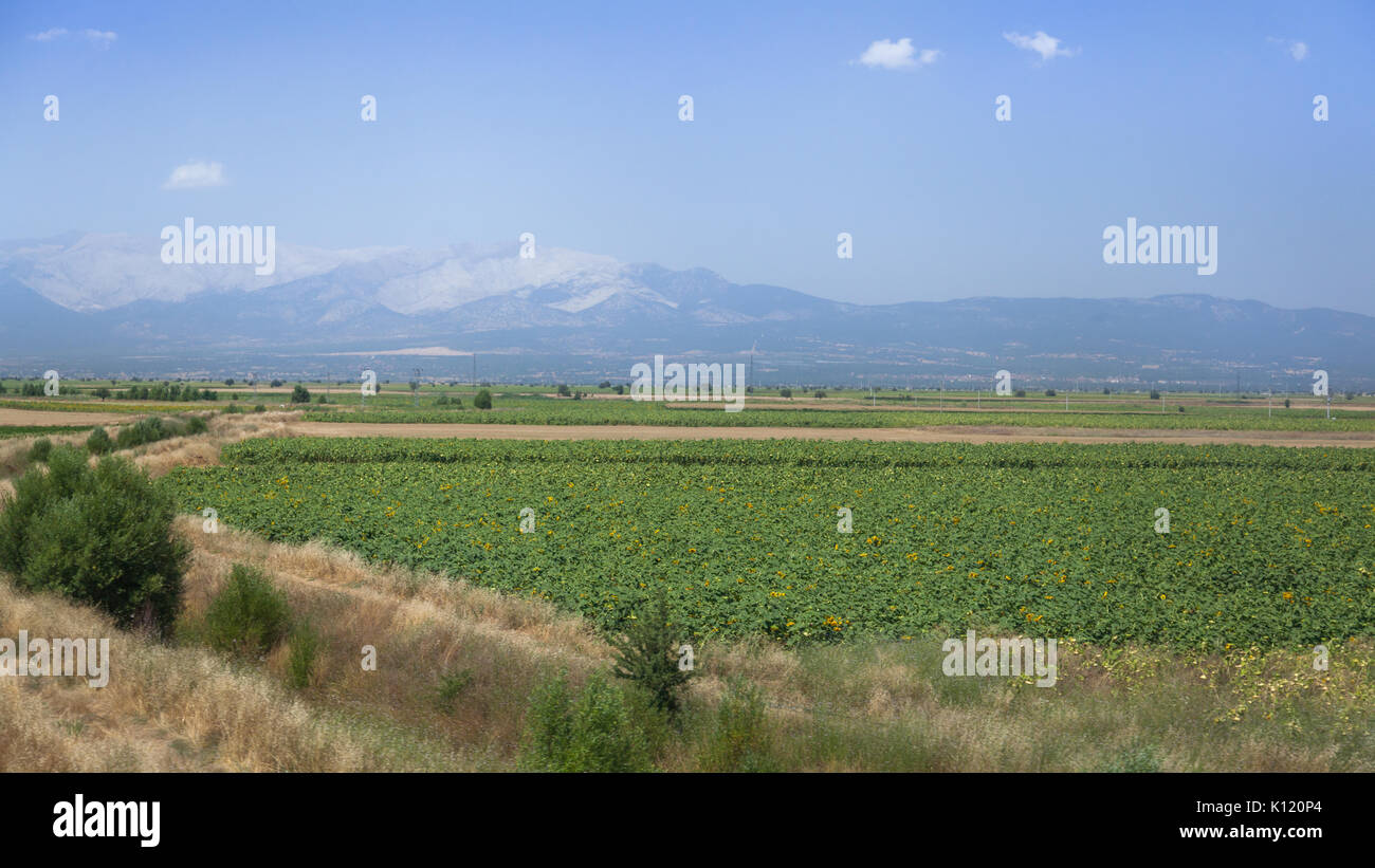 Paysage agraire de l'ouest de la Turquie Banque D'Images
