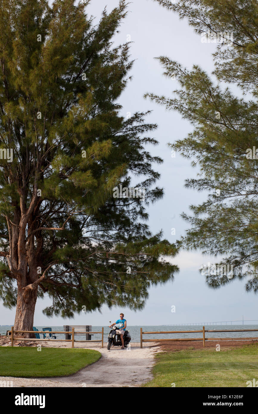Un homme sur un parking moto à un près de plage avec australian pines sur Tampa Bay. Le sunshine skyway bridge est vu dans l'arrière-plan. Banque D'Images