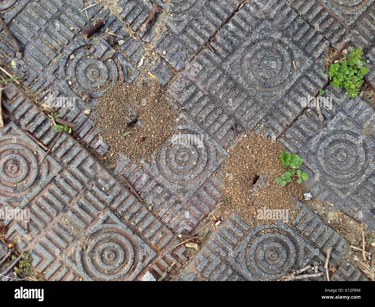 Les fourmilières et trottoir de brique (28154167335) Banque D'Images