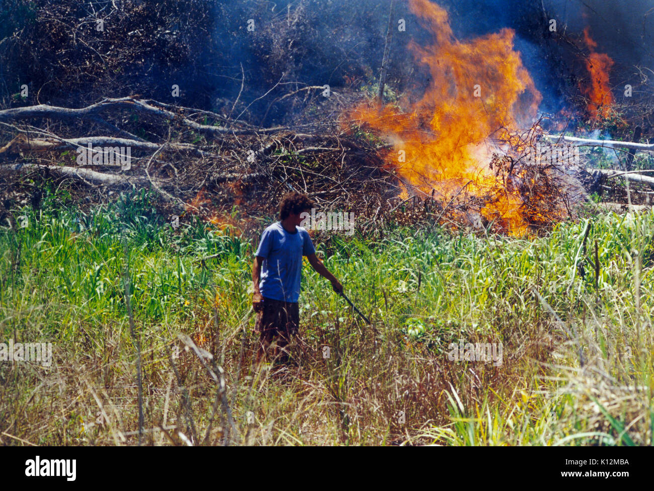 Forêt amazonienne déboisée en tirant de grandes zones de culture Banque D'Images
