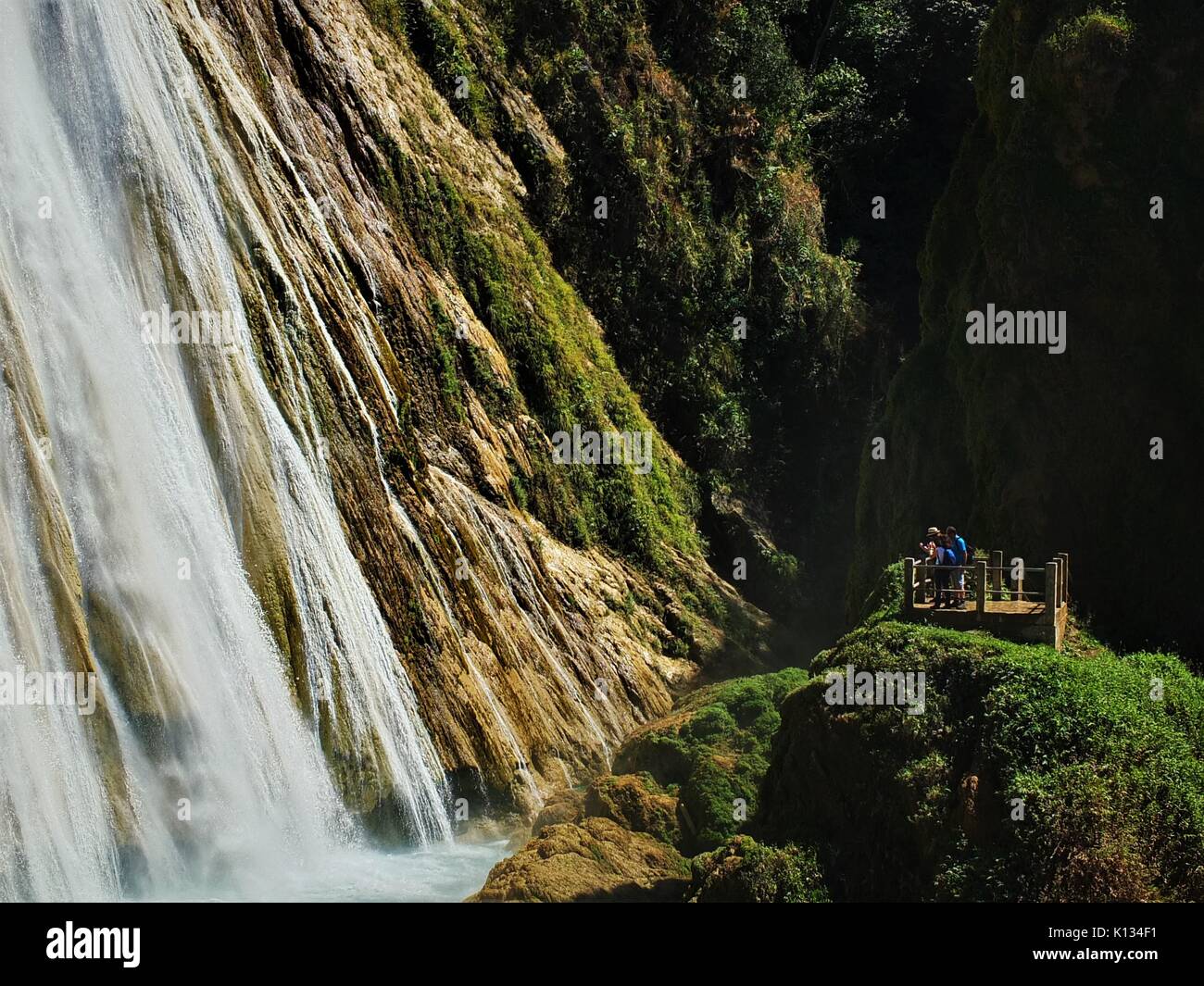 Cascade, Chiapas, Mexique Banque D'Images