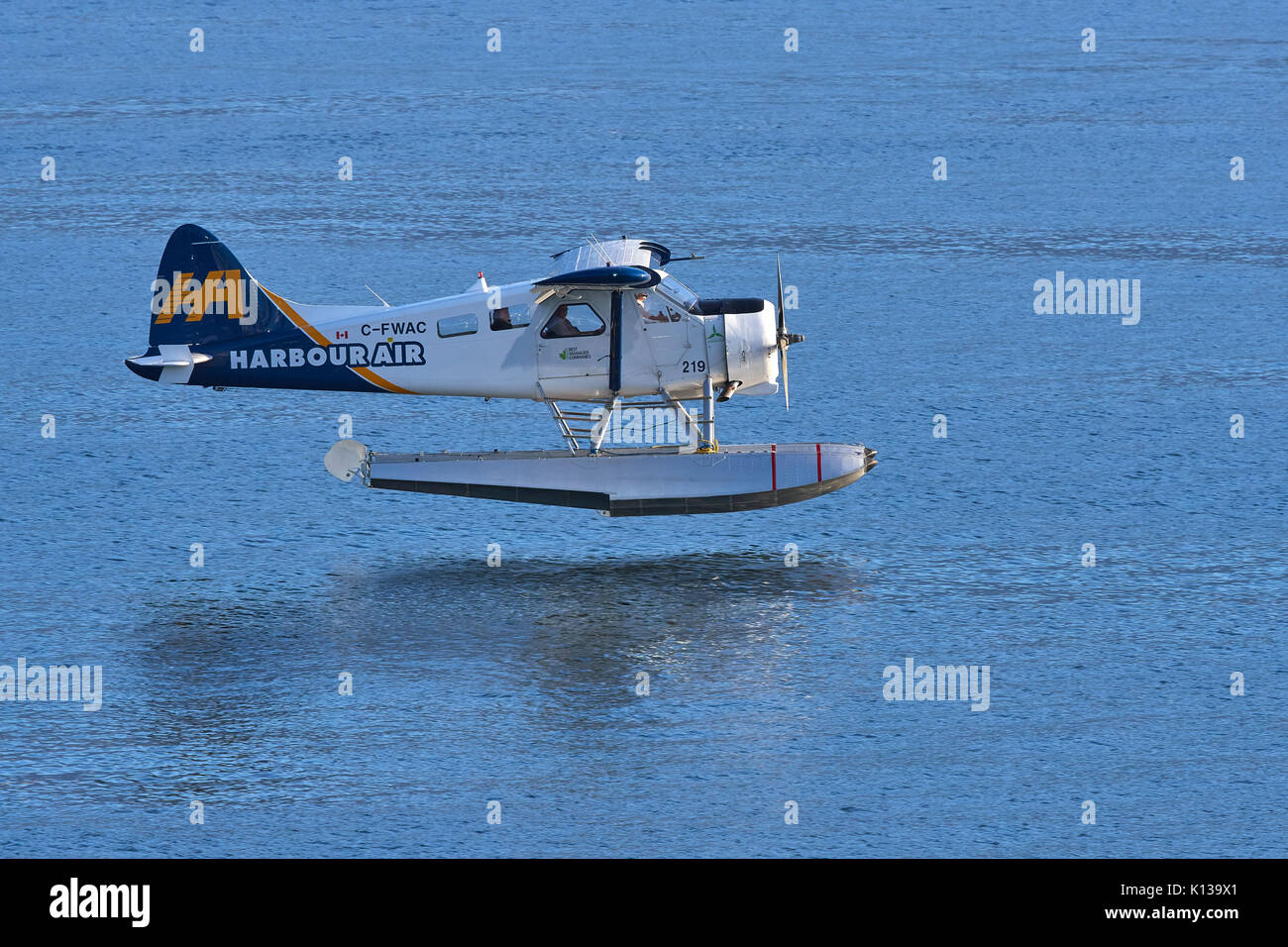 A Vintage de Havilland Canada Beaver Floatplane Landing dans le port de Vancouver, en Colombie-Britannique, au Canada. Banque D'Images