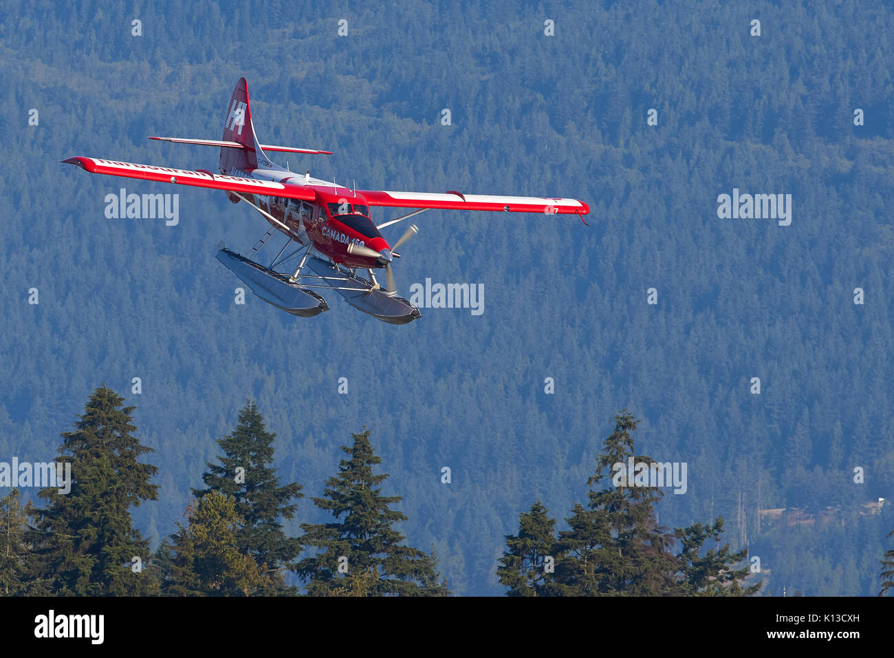 Harbour Air Seaplanes de Havilland Canada turbo Otter dans le canada 150 couleurs, approchant le port de Vancouver Flight Centre, BC, Canada. Banque D'Images