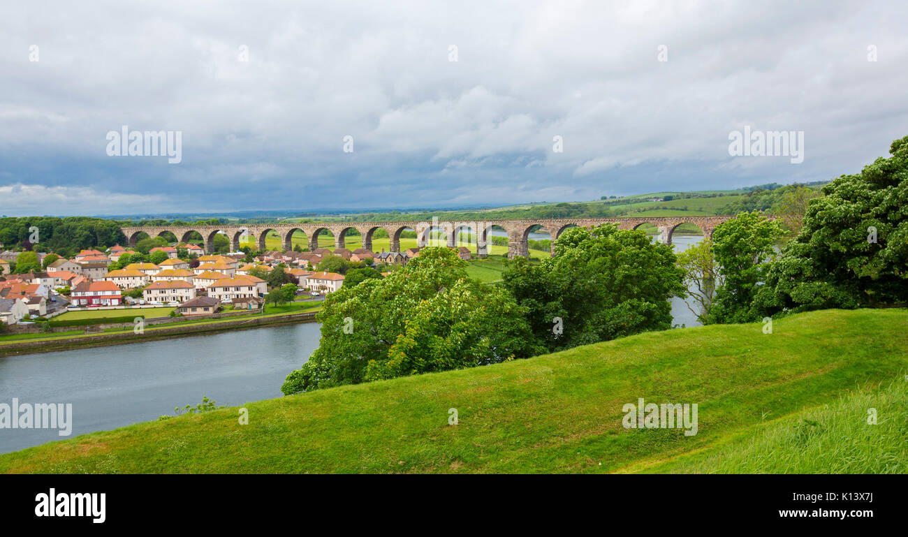 Frontière royale, pont viaduc ferroviaire patrimoine crossing River Tweed à Berwick-upon-Tweed avec des maisons en premier plan et au-delà des champs d'émeraude Banque D'Images