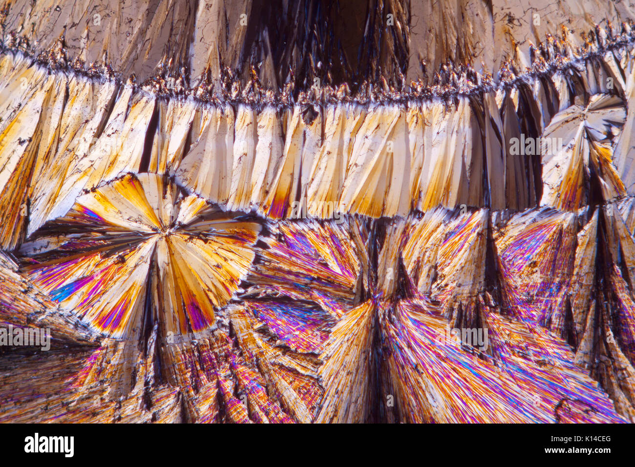 Salicene fondre, chimique, de l'éclairage à polarisation croisée photomicrographie Banque D'Images