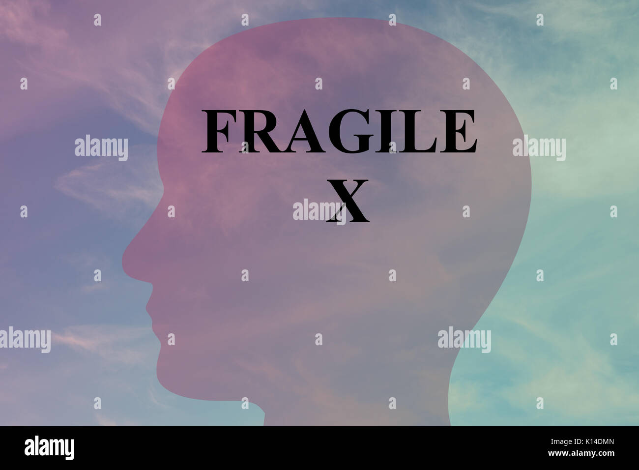 Rendre l'illustration de 'X' sur le titre FRAGILE silhouette de tête, avec ciel nuageux comme arrière-plan. Banque D'Images