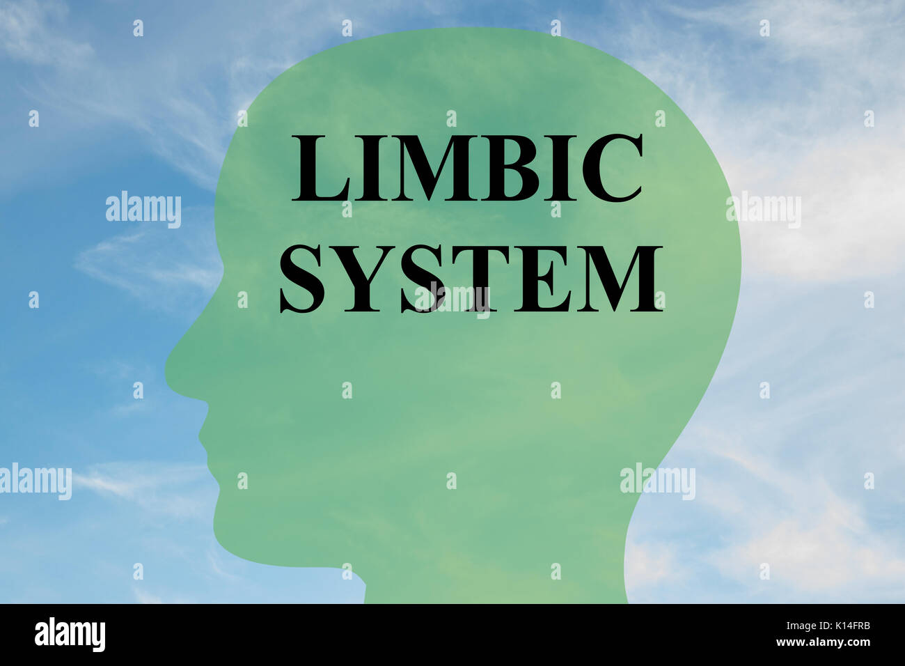 Rendre l'illustration de "système limbique" script sur head silhouette, avec ciel nuageux comme arrière-plan. Banque D'Images