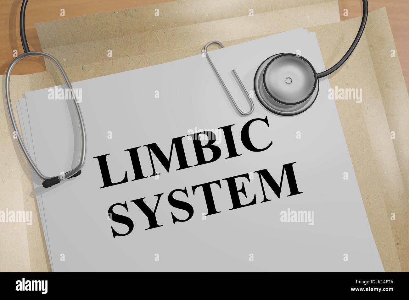 3D illustration de "système limbique" titre sur un document médical Banque D'Images
