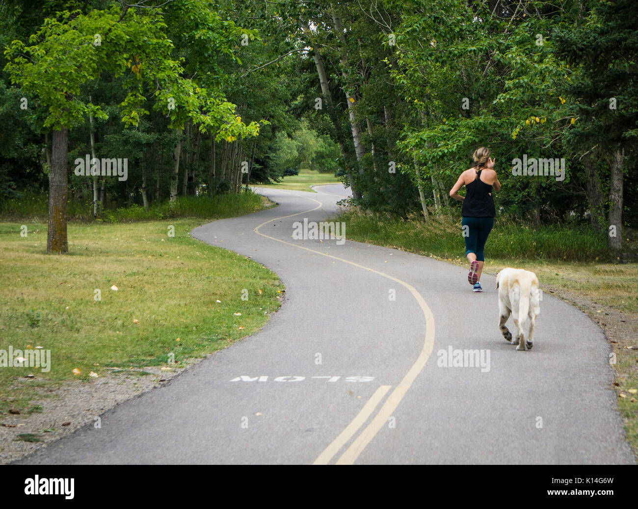 Femme et chien le jogging du parc Glenmore Calgary AB Banque D'Images