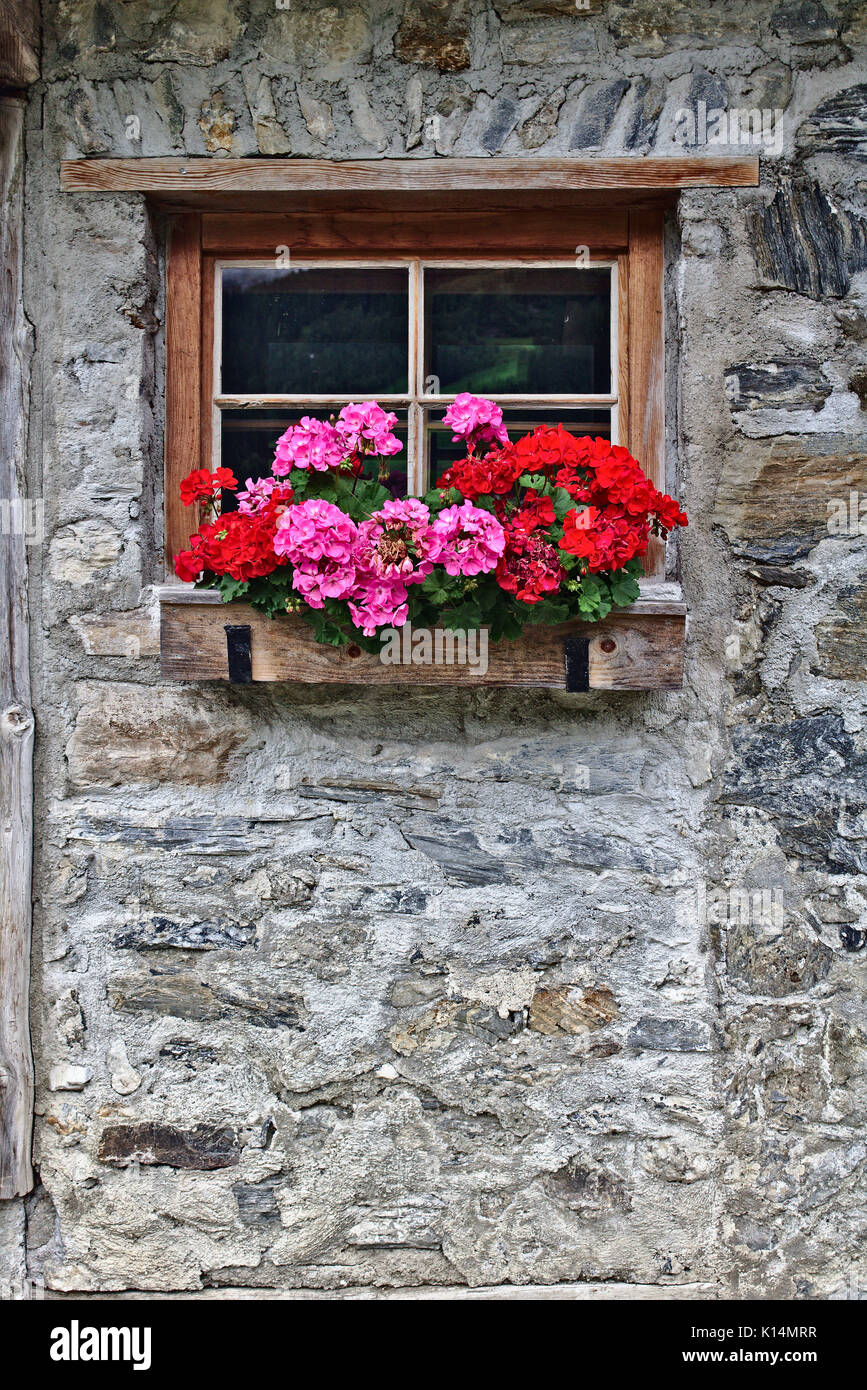 Mur d'une vieille maison de ferme en pierres de champ avec fenêtre et fleurs rouge vif Banque D'Images