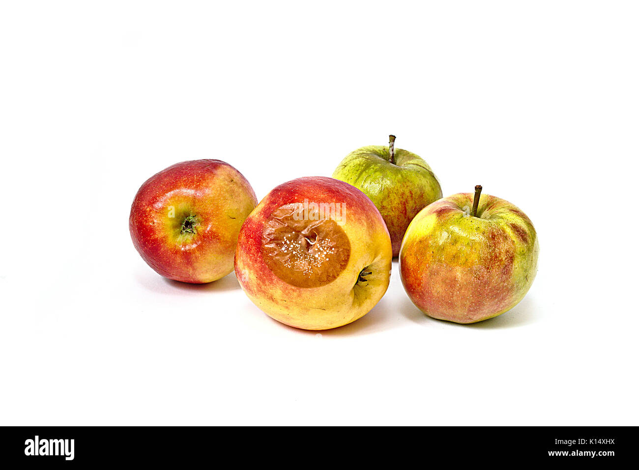 Bad Apple avec le moule entre les pommes comestibles Banque D'Images