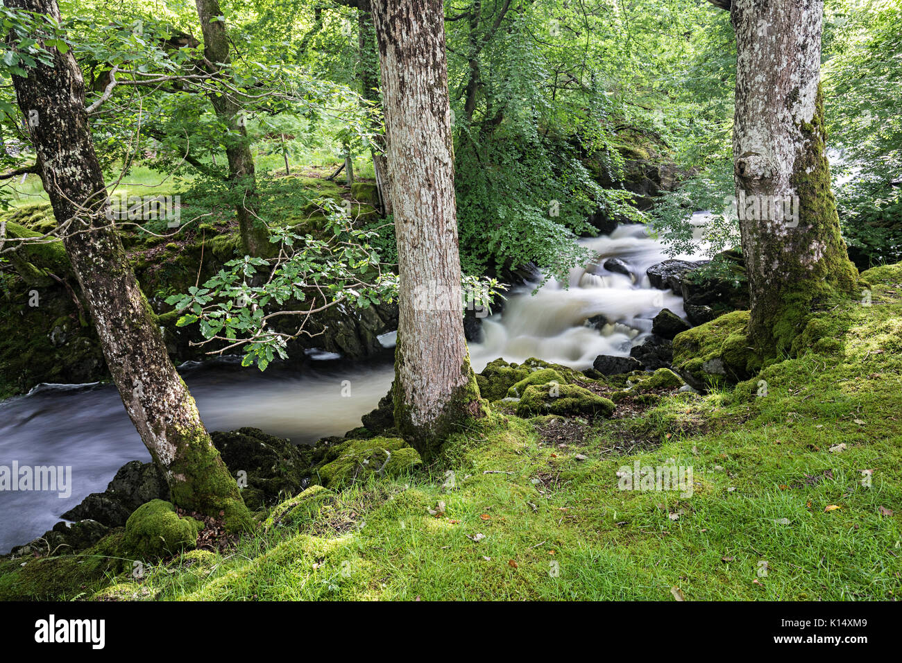 Cascades, Ganllwydd Rhaeadr Ddu, Coed Ganllwydd National Nature Reserve, Parc National de Snowdonia, Gwynedd, Pays de Galles, Royaume-Uni Banque D'Images