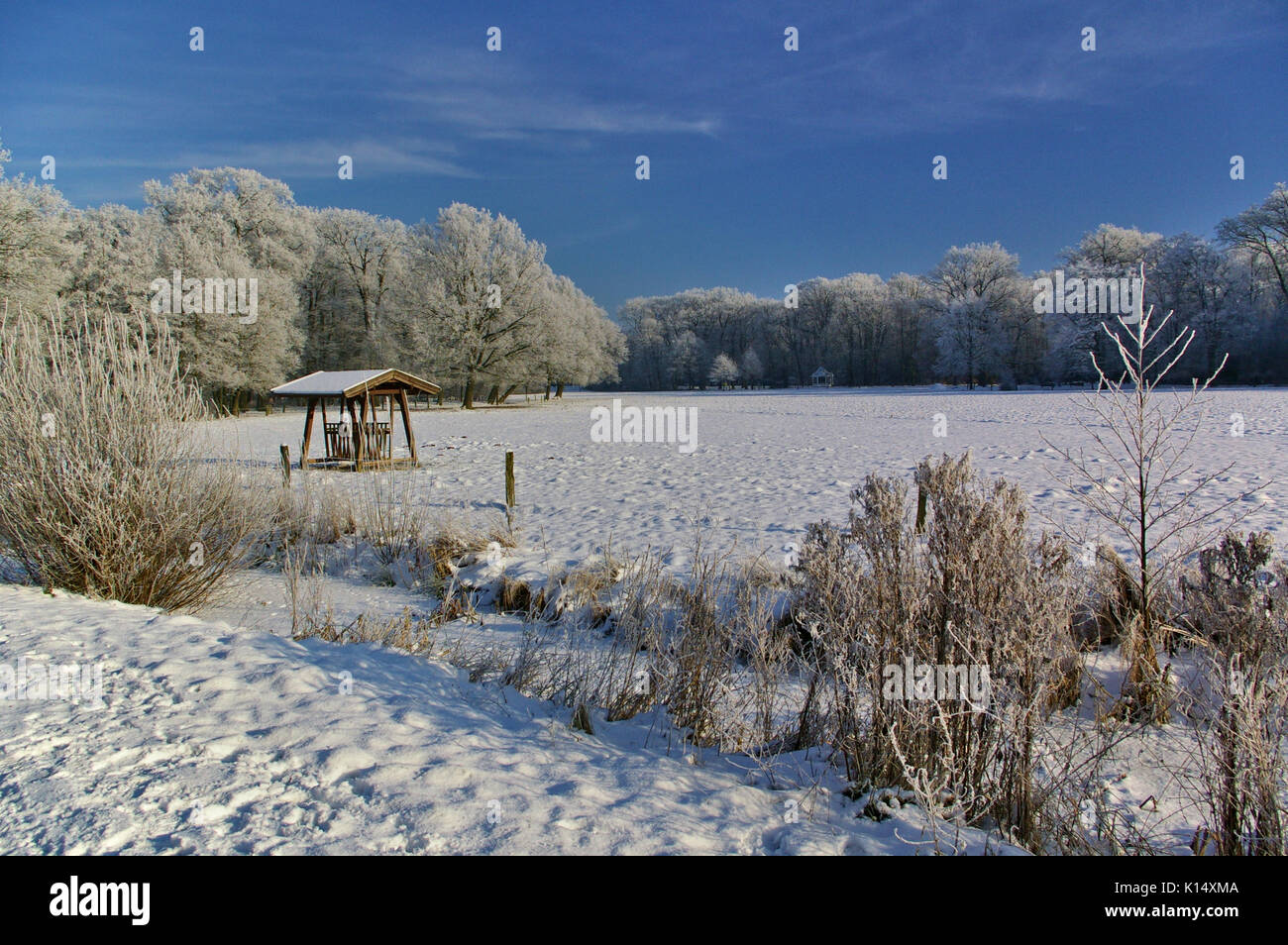 Champ couvert de neige avec le fourrage et rack des arbres en arrière-plan Banque D'Images