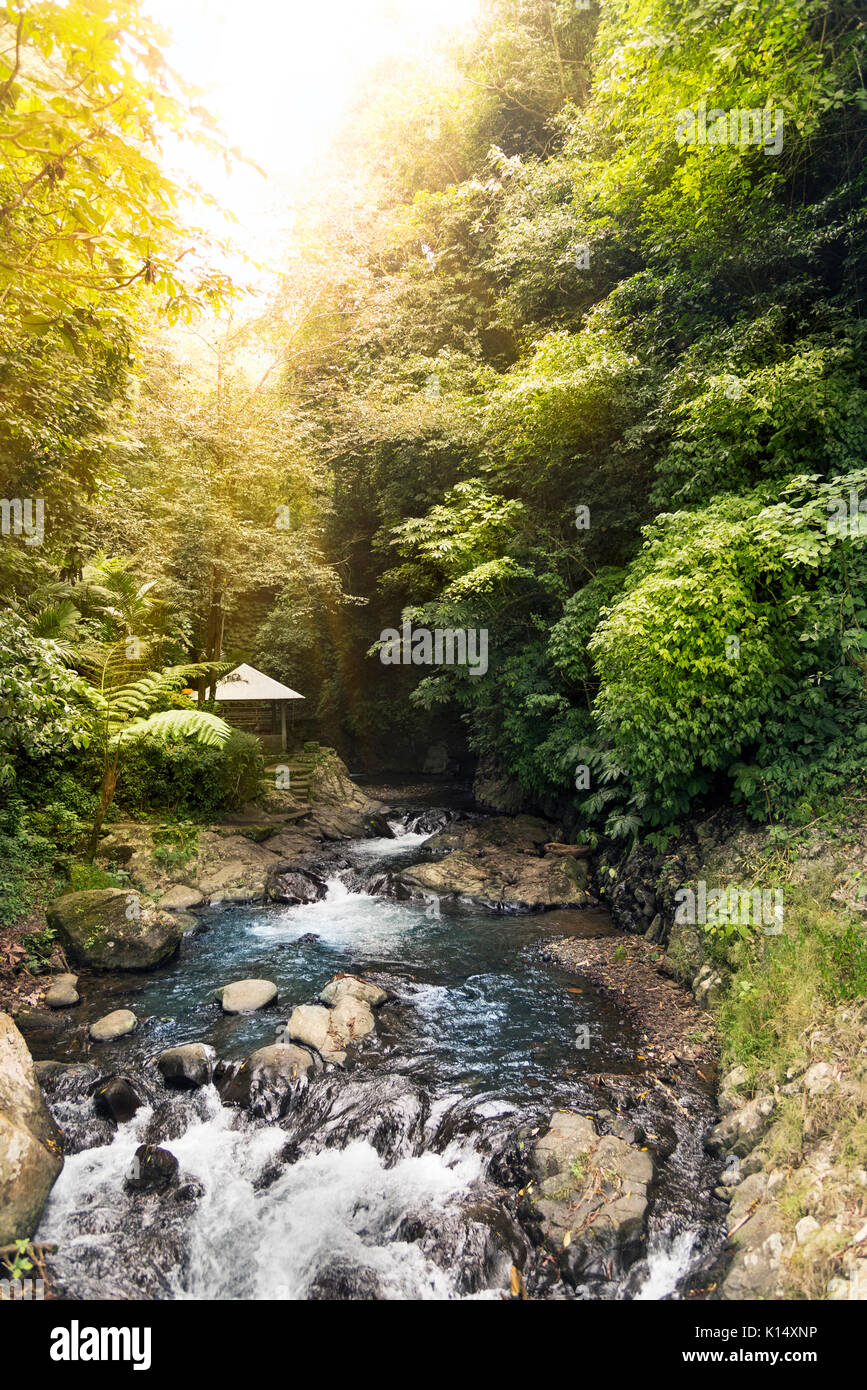 Cascade de bali Banque de photographies et d’images à haute résolution ...