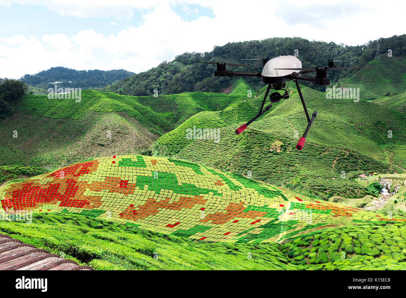 L'agriculture intelligente , ferme , le concept d'agriculture de précision.  Drone et images NIR écran d'application utilisée pour créer des cartes de  santé sur le terrain pour normaliser differenc Photo Stock -