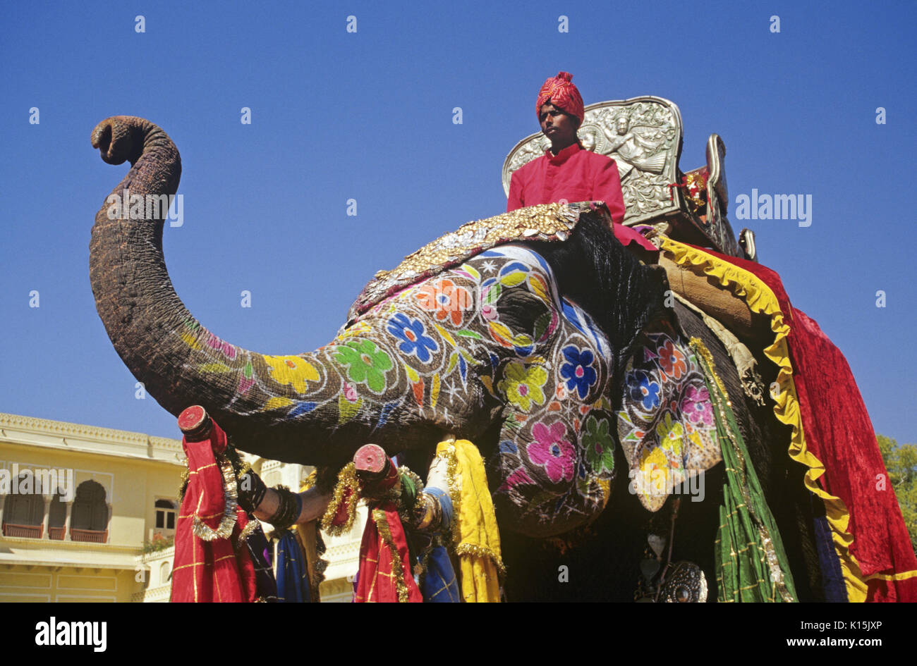 Décoré éléphant, Jaipur, Rajasthan, Inde Banque D'Images