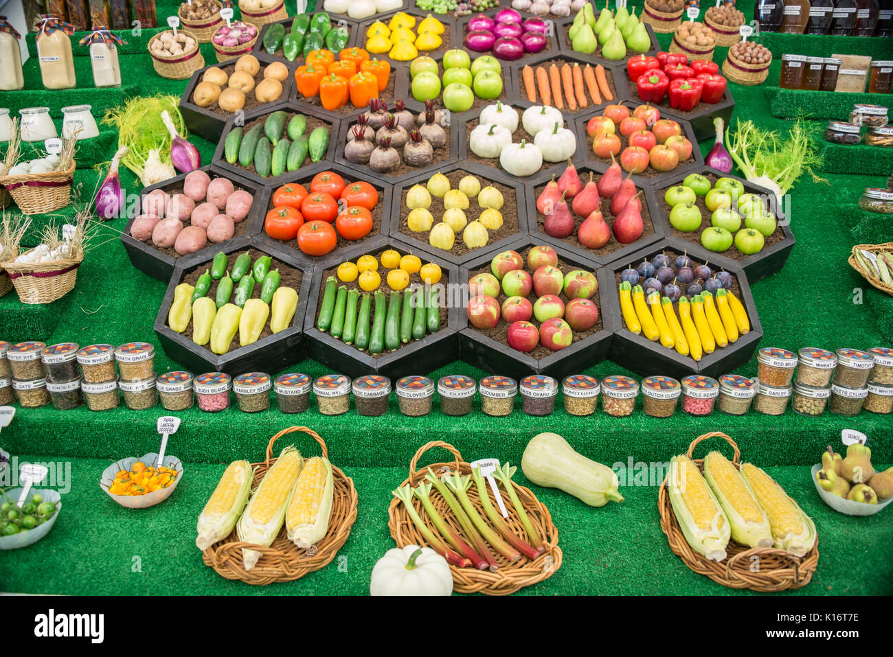 Afficher Variété de légumes frais Fruits Céréales Produits laitiers Miel Noix Graines Banque D'Images