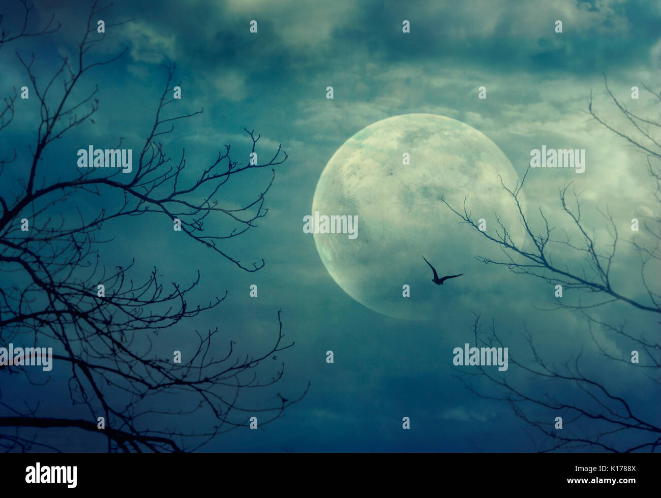 Arrière-plan de l'Halloween. Forêt Spooky avec pleine lune et les arbres morts Banque D'Images