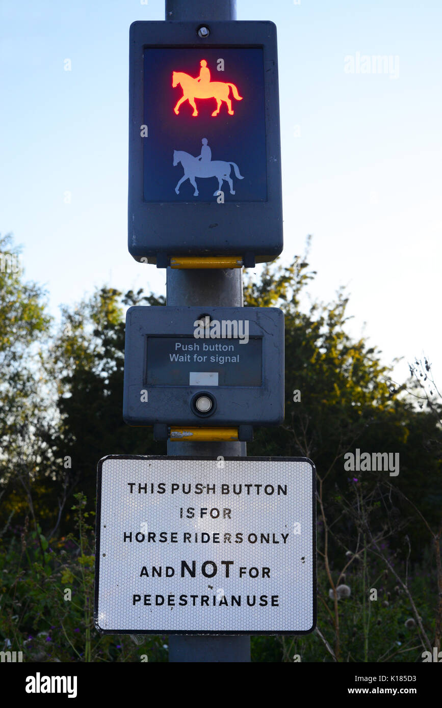 Horse Rider système de contrôle de trafic routier sur le pont traversant la rivière Derwent dans le village de Sutton sur derwent yorkshire royaume uni Banque D'Images