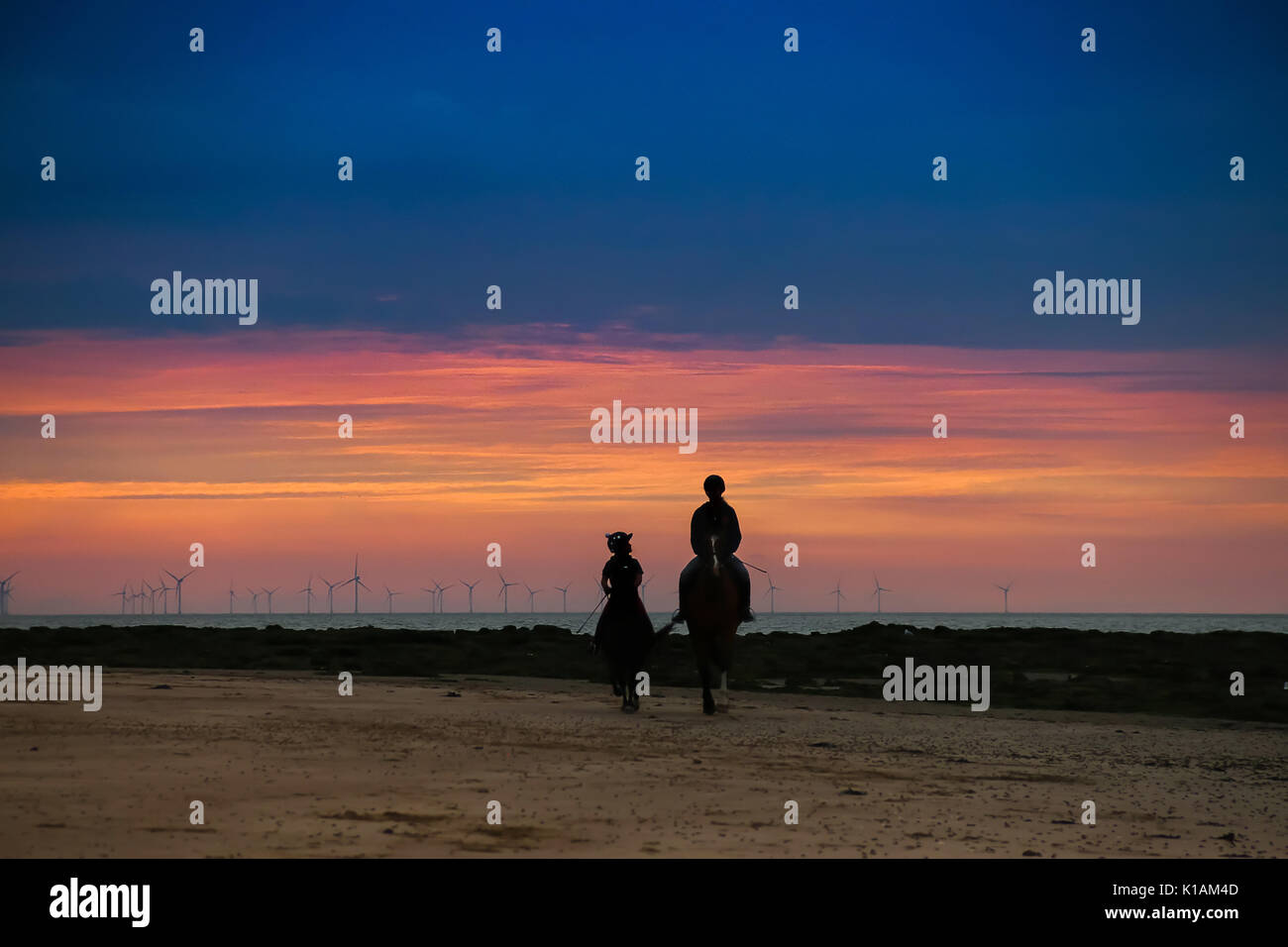 Chevaux et cavaliers sur la plage au coucher du soleil Banque D'Images