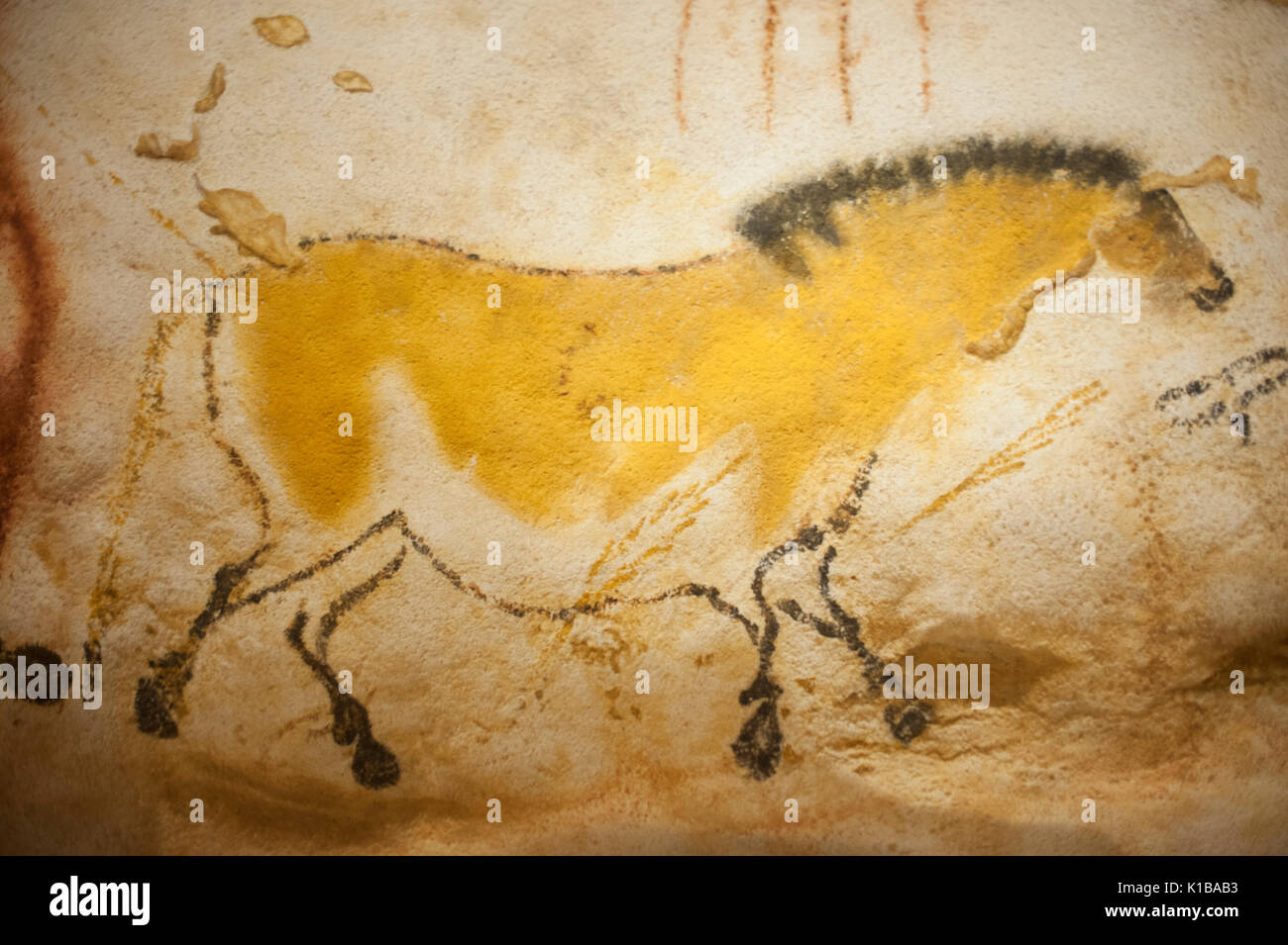 Peintures rupestres préhistoriques de chevaux sauvages, cheval dun, grottes de Lascaux IV, Périgord, Montignac, Dordogne, France Banque D'Images