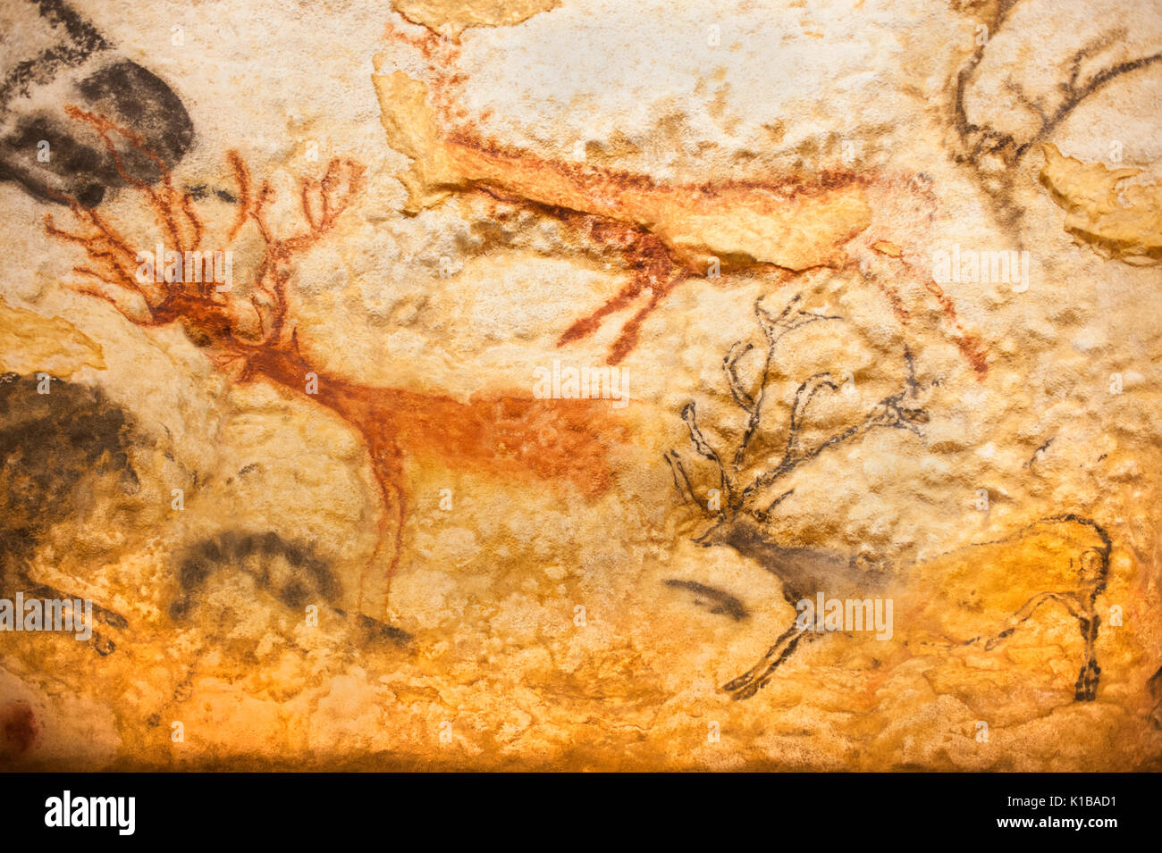 Peintures rupestres préhistoriques de cerfs rouges, Cervus elaphus, grottes de Lascaux IV, Périgord, Montignac, Dordogne, France Banque D'Images