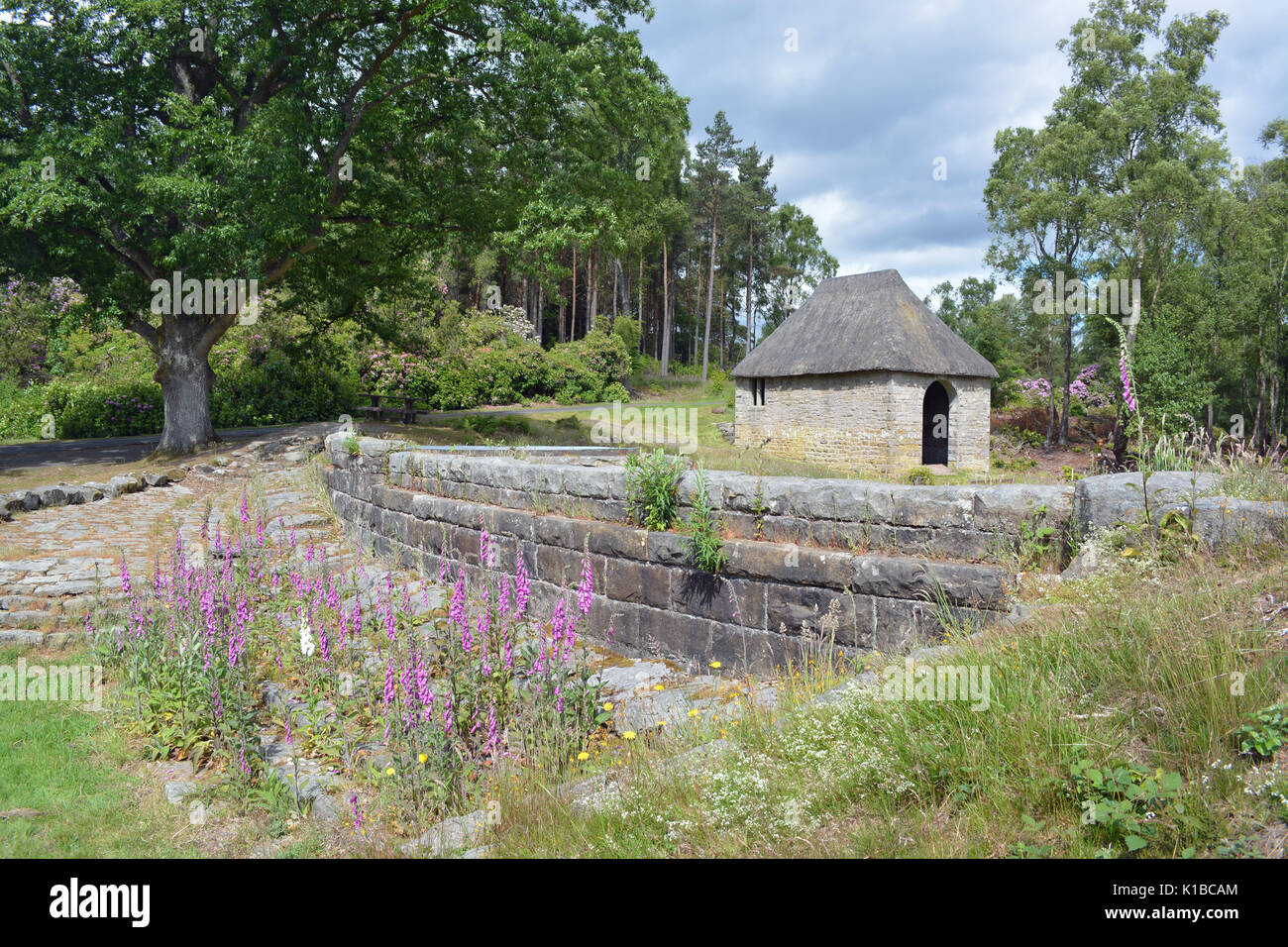 Cragside, Northumberland Banque D'Images