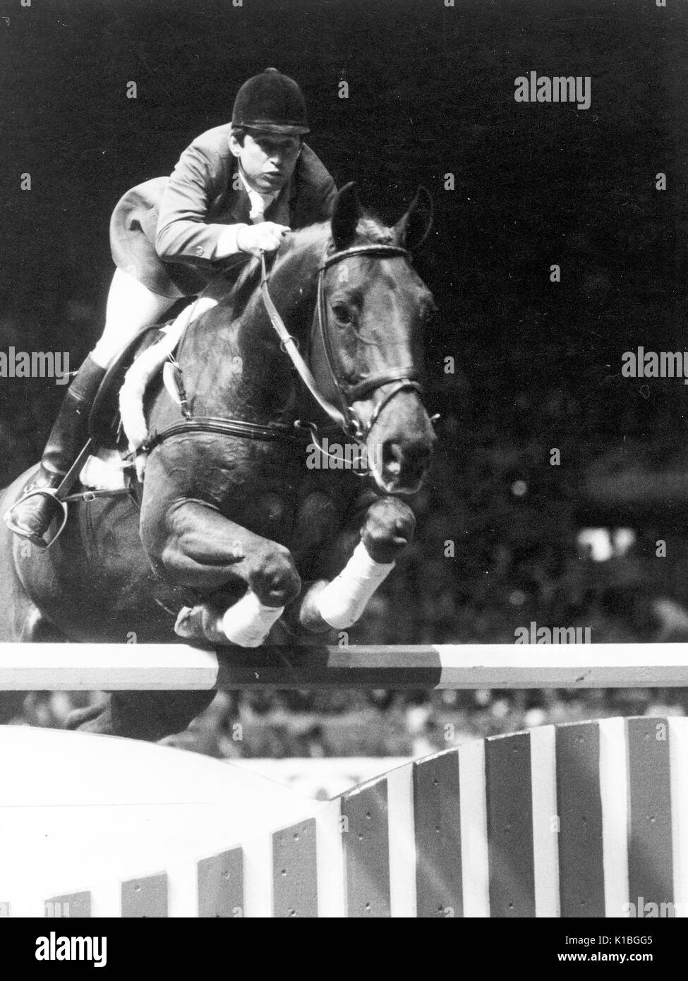 Finales de la Coupe du monde, Gothenberg, 1997, Hugo Simon (AUT) équitation Gladstone Banque D'Images