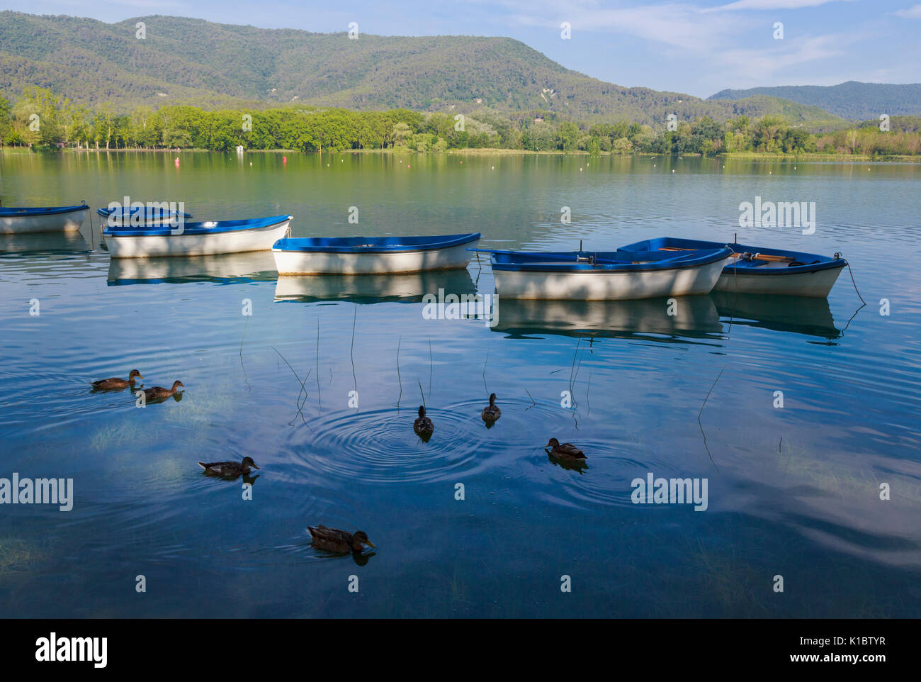 Banyoles, province de Gérone, Catalogne, Espagne. L'étang de Banyoles, qui était le lieu de l'aviron olympique de 1992. Banque D'Images