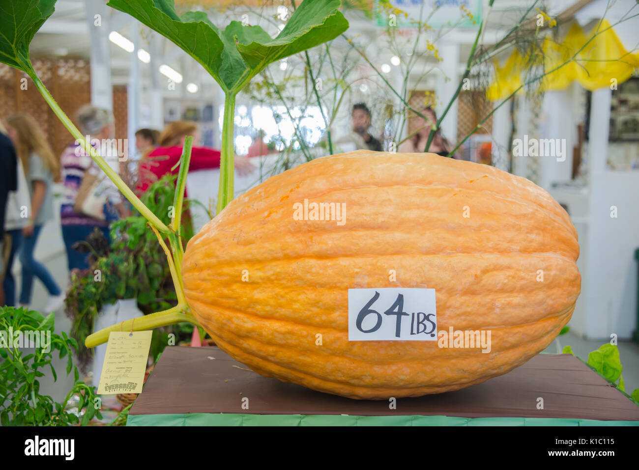 Gagnante du prix Orange Livre 64 Evergreen State Fair Monroe Washington Banque D'Images