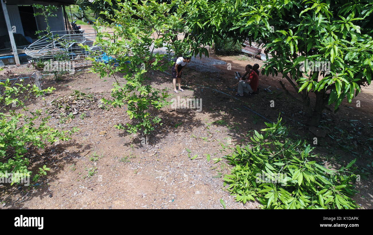 Drone volant en Thaïlande Banque D'Images