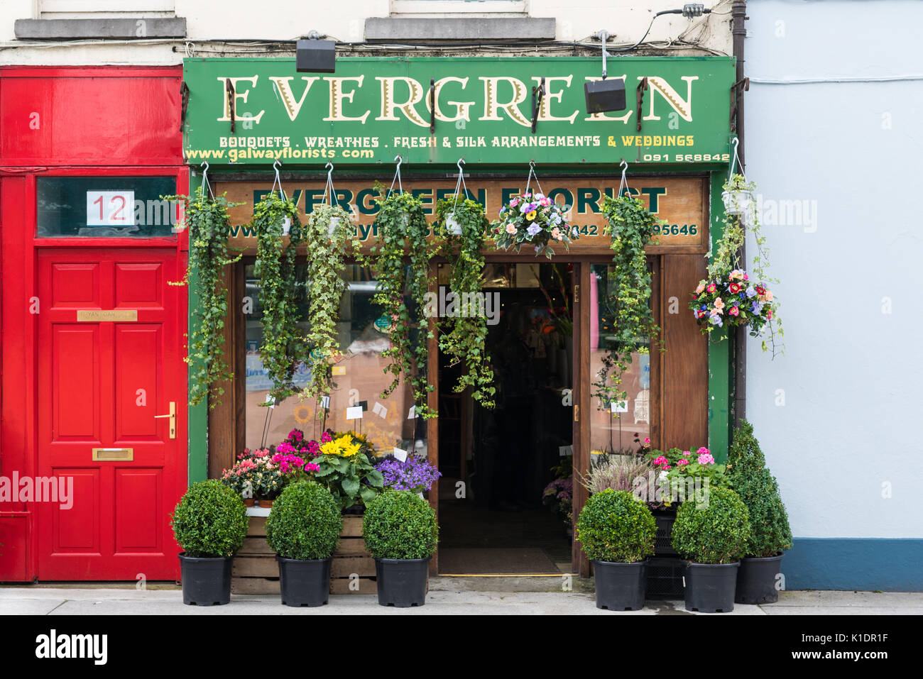 Galway, Irlande - Août 3, 2017 : Small business boutique de fleurs dans la rue côté façade dispose de plantes vertes et de fleurs colorées, porte ouverte. B b adjacent Banque D'Images