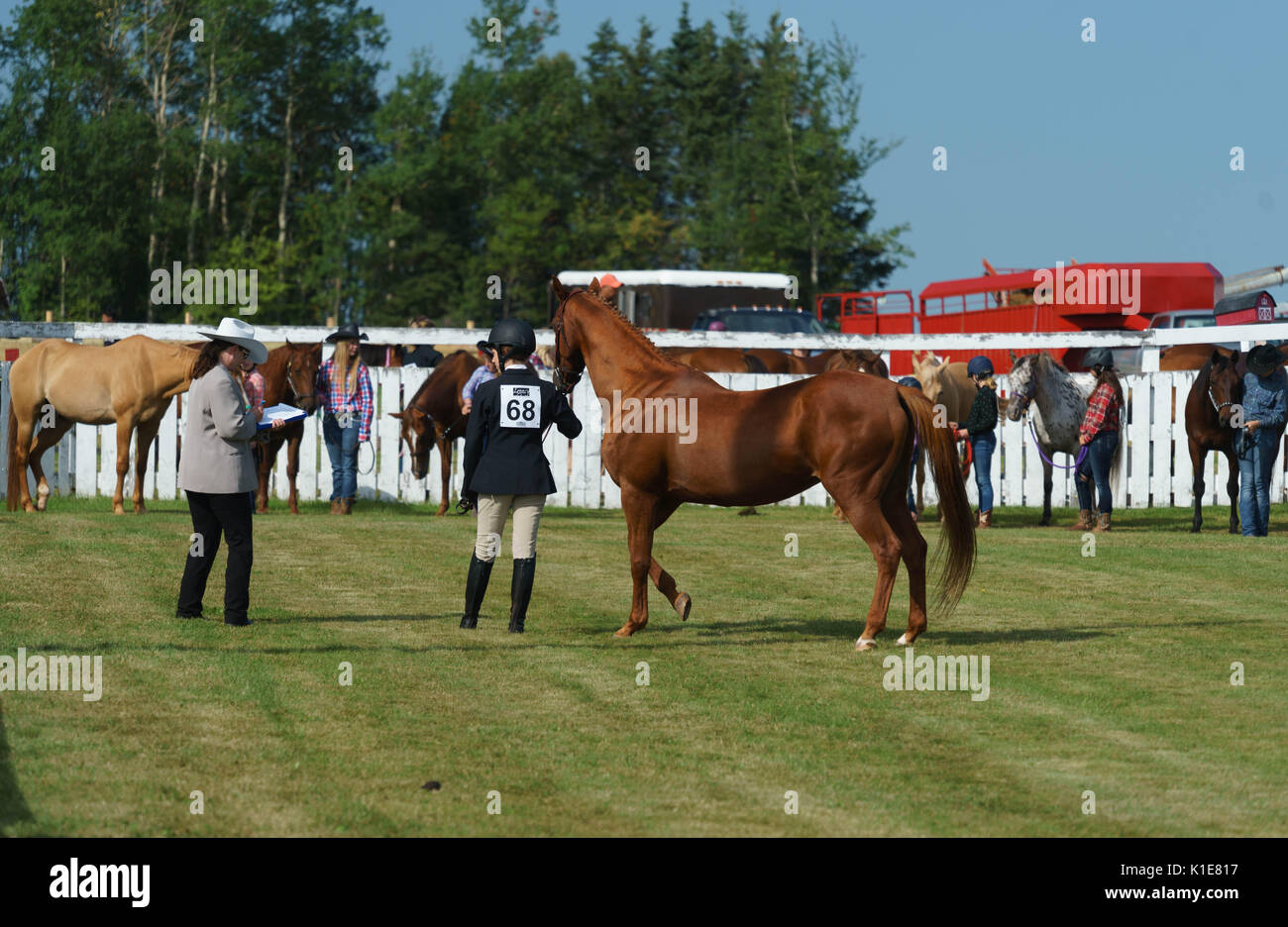 DUNDAS, PRINCE EDWARD ISLAND, CANADA - Le 25 août : les tracteurs concurrents charrue avec amtique au PEI de labour et de la foire agricole le 25 août 201 Banque D'Images