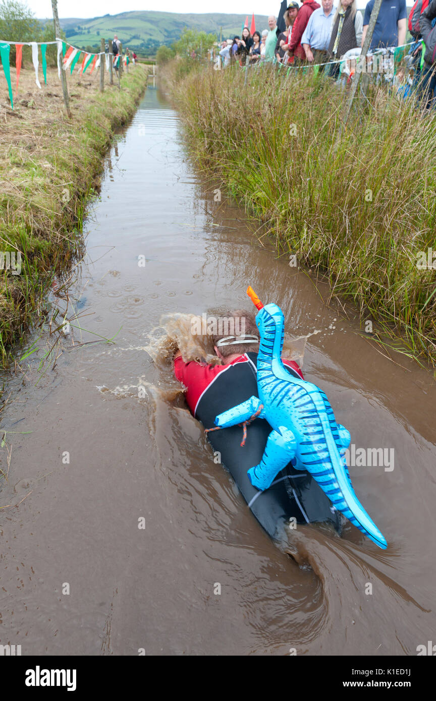 Llanwrtyd Wells, Powys, au Royaume-Uni. 27 août, 2017. La 32e conférence annuelle de la BOG Snorkelling Championships, conçu il y a plus de 30 ans dans un pub gallois par propriétaire Gordon Green, ont lieu à l'Waen Rhydd Bog. En utilisant soit des courses de natation, les participants nager deux longueurs d'un mètre 55 tranchée couper à travers une tourbière portant masque et des palmes de plongée. Credit : Graham M. Lawrence/Alamy Live News Banque D'Images