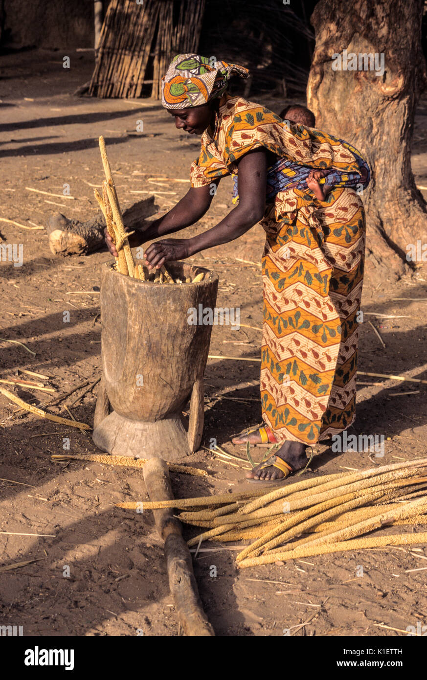 Le Niger, Afrique de l'Ouest. Jeune femme de mettre les tiges de mil dans le mortier en préparation pour battre entre eux pour faire de la farine. Banque D'Images
