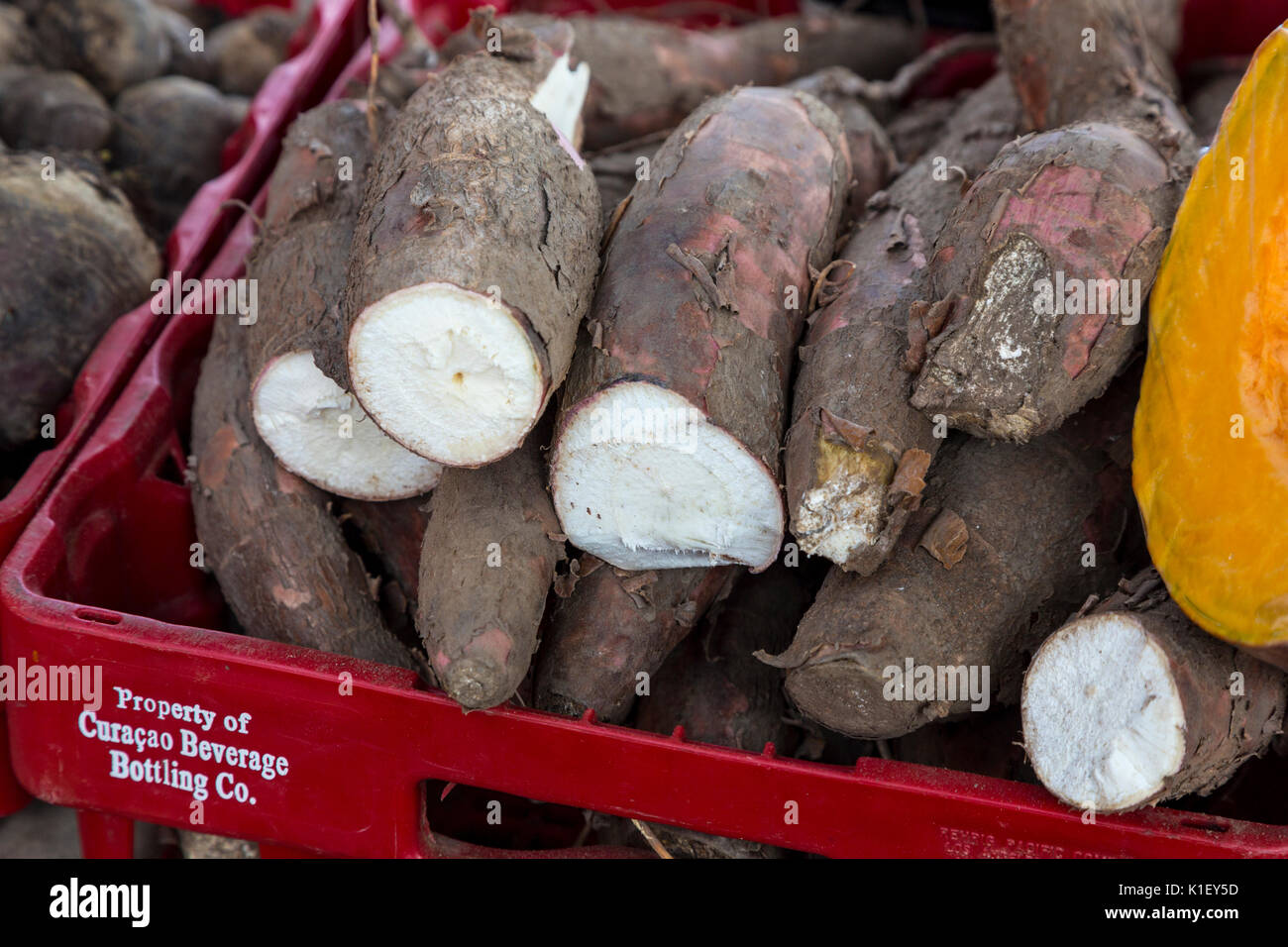 Willemstad, Curaçao, Petites Antilles. Le manioc, le manioc, en vente dans le marché flottant. Banque D'Images