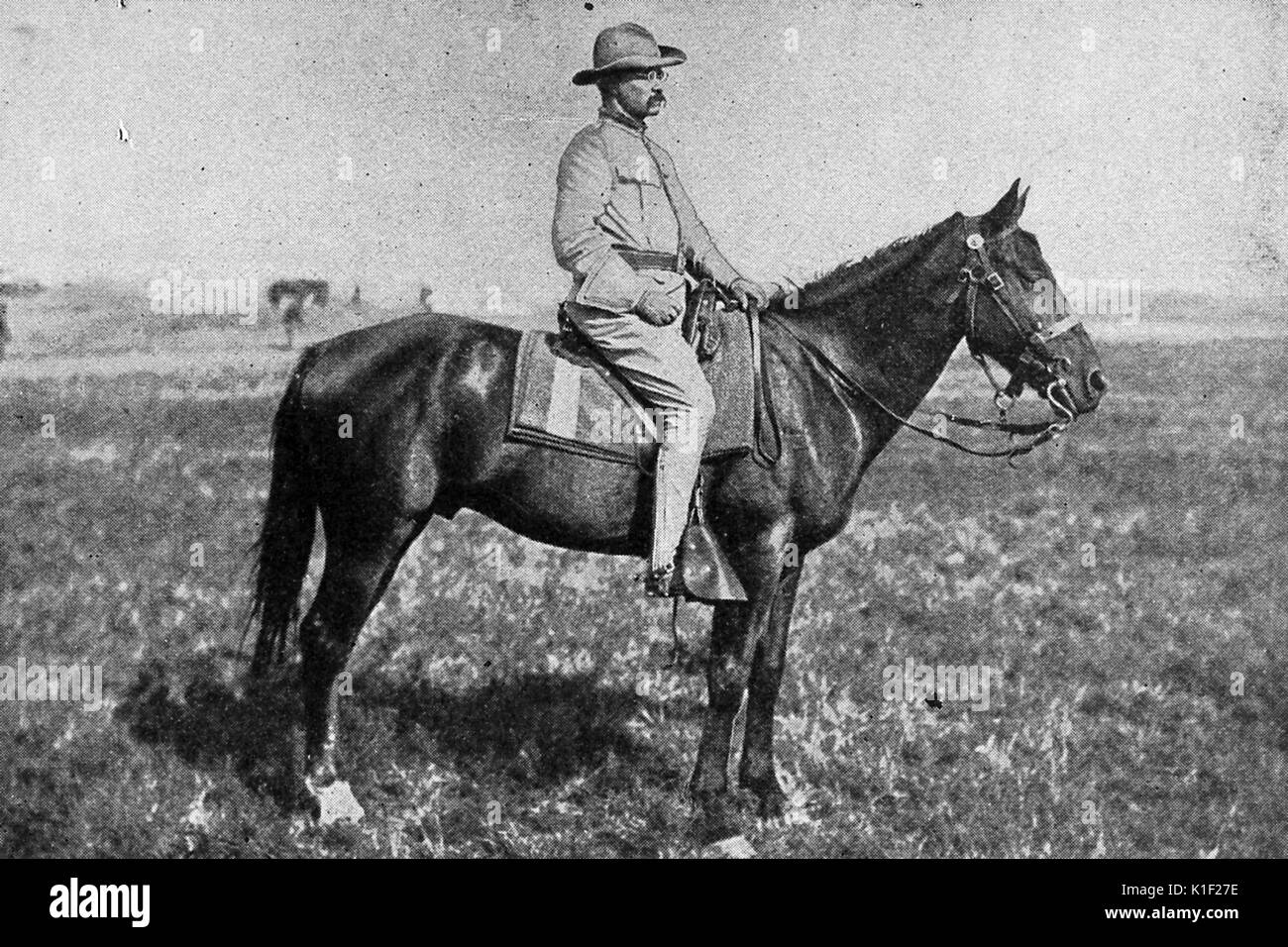 Portrait du Colonel Theodore Roosevelt sur un cheval, dans un champ, 1898. Banque D'Images