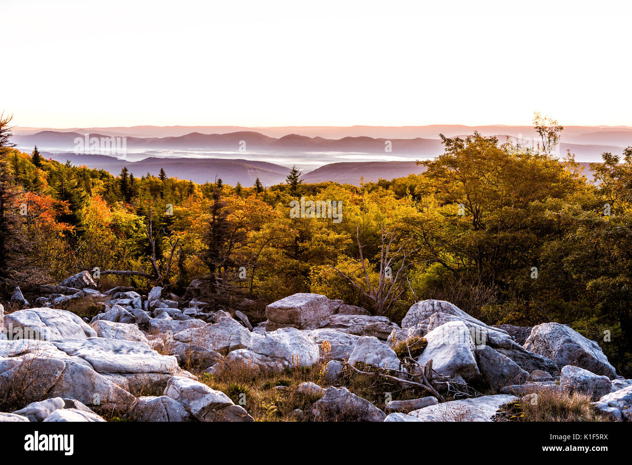 Les roches de l'ours le lever du soleil au cours de l'automne avec paysage rocheux dans Dolly Sods, Virginie de l'Ouest avec arbres sombres Banque D'Images