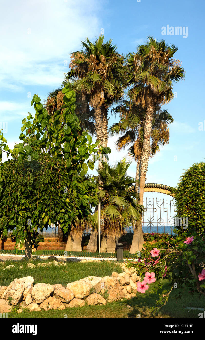 Oropesa del Mar, Espagne - 26 juillet 2016 : pittoresque jardin Marina d'Or Oropesa del Mar dans la ville de villégiature. Espagne Banque D'Images