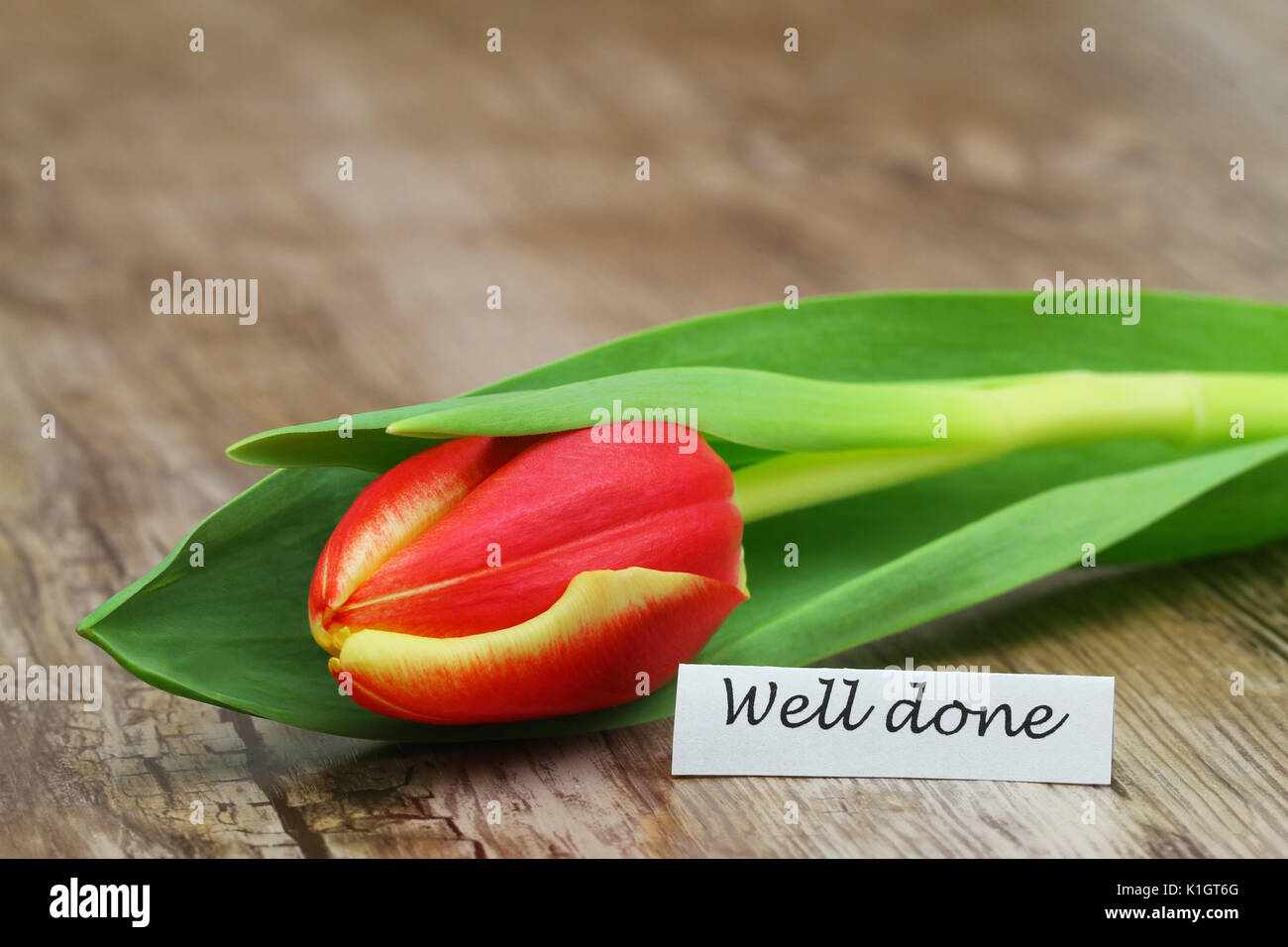 Bien fait avec le rouge et jaune tulipe sur surface en bois Banque D'Images