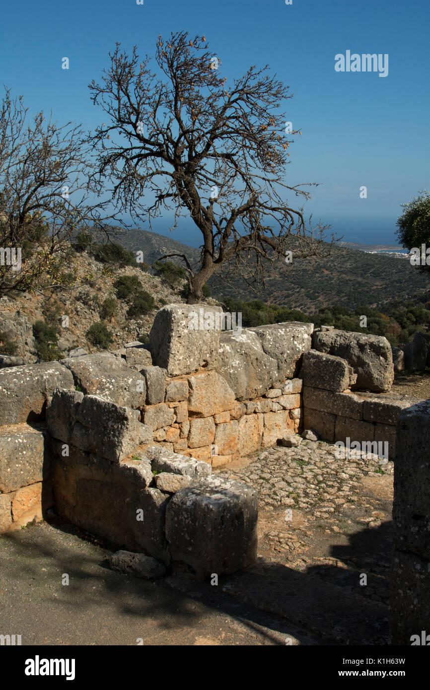 Lato était un Dorian ville état situé dans une position défendable donnant sur la baie de Mirabello entre deux sommets sur la côte du nord à l'est de la Crète Banque D'Images