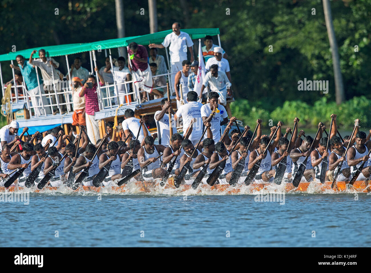 L'image d'hommes serpent aviron bateau en bateau Nehru, le jour de la course, Allaepy Punnamda Lake, le Kerala Inde Banque D'Images