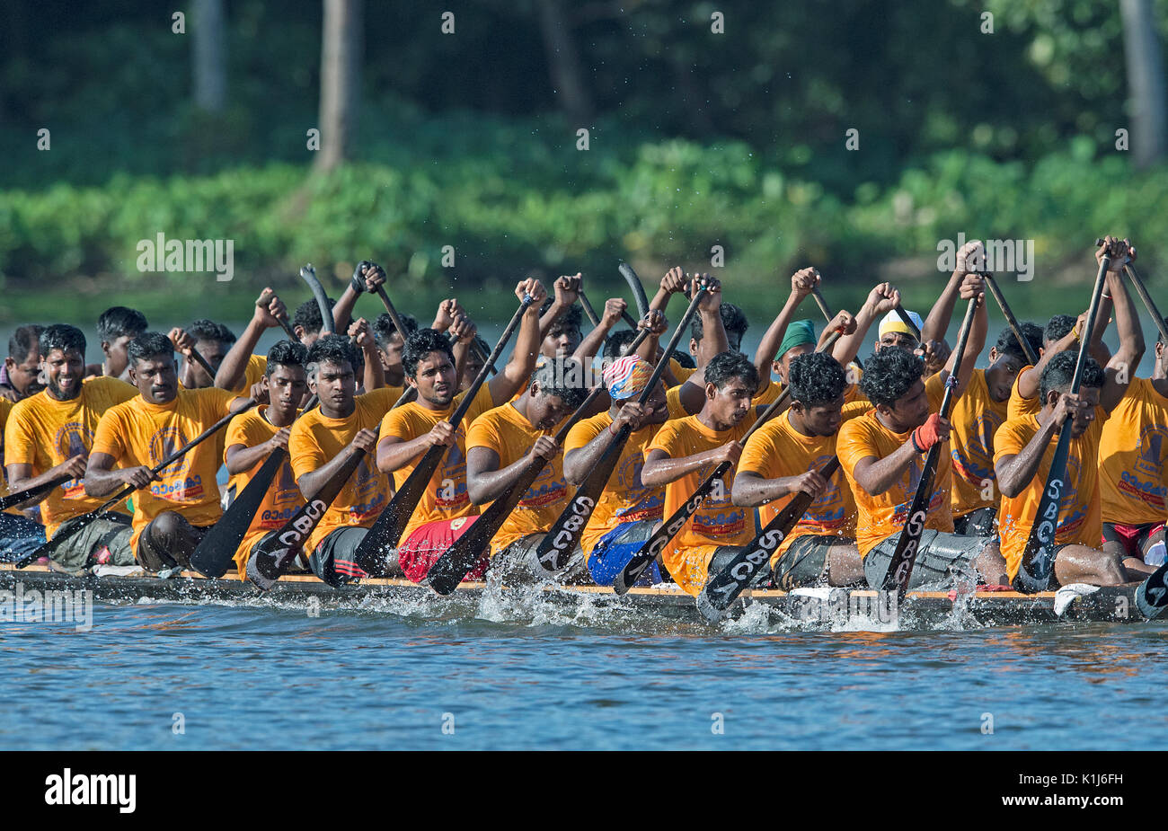 L'image d'hommes serpent aviron bateau en bateau Nehru, le jour de la course, Allaepy Punnamda Lake, le Kerala Inde Banque D'Images